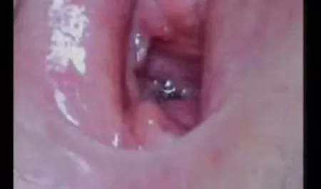 یک کلیپ پورنو خارجی سبزه مقعد سبزه