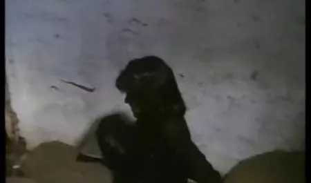 شیرین دانلود فیلم سوپر خارجی بیدمشک لاغر شیرین