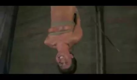 علاقه به فالوئزهای بزرگ فیلم سکیسی خارجی