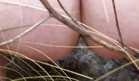 رابطه جنسی با زن سفید سیاه عکس های سکسی خارجی جدید و سفید