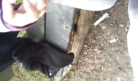 رووی شینا در گربه کلیپ فیلم سوپر خارجی بیدار شد و ویبره را لیسید