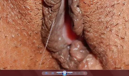 معرفی خوشایند فیلم سکیسی خارجی تقریباً به پایان رسید