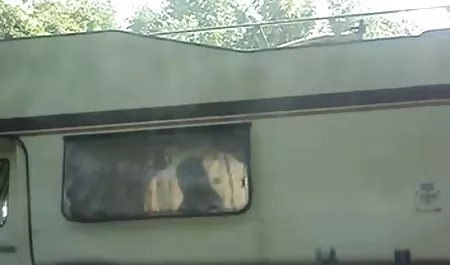 سه نفر خارجی فیلم سکس از مهمانان