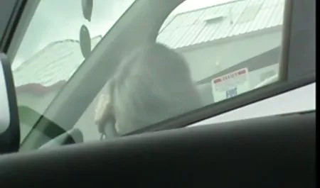 بلوند بالغ تصاویرسکسی خارجی عاشق دیک مکیدن است