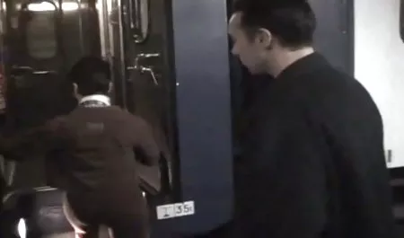 زنان فرآوری شده با گربه بازی می عکس سکسی بکن بکن خارجی کنند