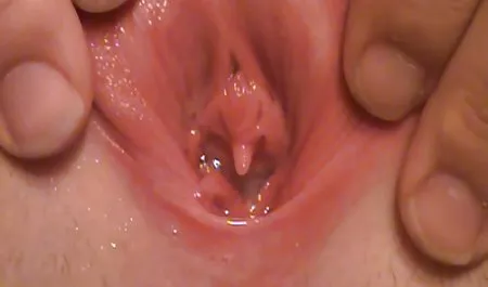 لزبین و مهمان فیلم سکس کوتاه خارجی